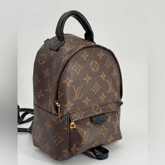Louis Vuitton Palm Springs Backpack Mini Brown Canvas main image 8